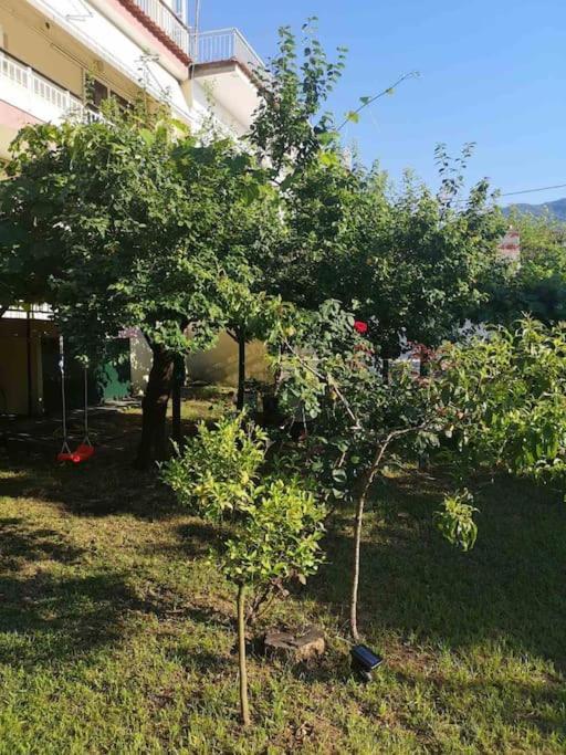 Evangelias House! Apartment Stavros  Luaran gambar